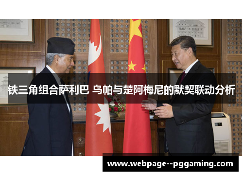 铁三角组合萨利巴 乌帕与楚阿梅尼的默契联动分析 铁三角组合萨利巴 乌帕与楚阿梅尼的默契联动分析