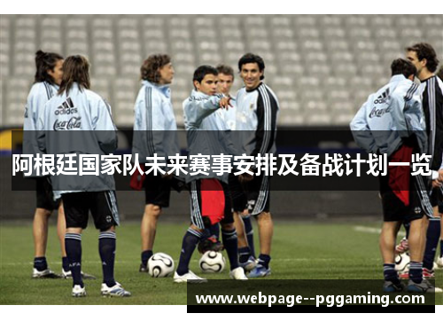 阿根廷国家队未来赛事安排及备战计划一览