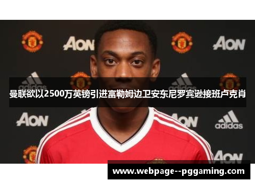 曼联欲以2500万英镑引进富勒姆边卫安东尼罗宾逊接班卢克肖