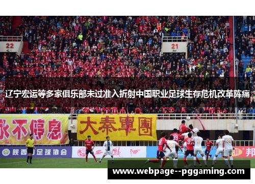 辽宁宏运等多家俱乐部未过准入折射中国职业足球生存危机改革阵痛